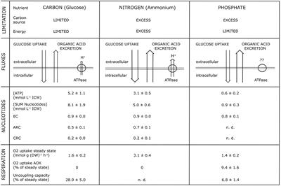 Overflow Metabolism in Penicillium ochrochloron and Causation in Organisms